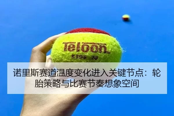 诺里斯赛道温度变化进入关键节点：轮胎策略与比赛节奏想象空间