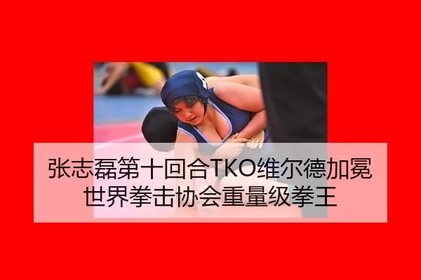 张志磊第十回合TKO维尔德加冕世界拳击协会重量级拳王